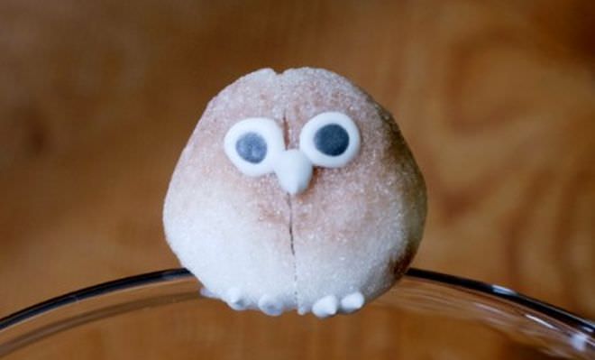 カップのふちにとまる「コトリシュガー」の可愛さに胸きゅんがとまらない！　文鳥やインコ、ふくろうも