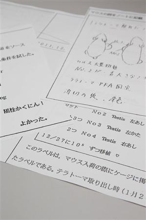 小保方晴子さん　文春グラビア登場に騒然「屈強メンタル」「雰囲気違う」