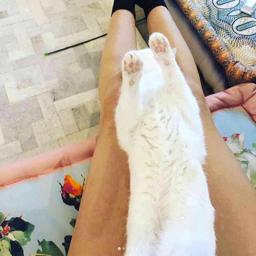 【エンタがビタミン♪】柴咲コウの“美猫＆美脚”ショットに反響「脚が長くて綺麗すぎる」 | Techinsight（テックインサイト）|海外セレブ、国内エンタメのオンリーワンをお届けするニュースサイト