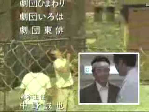 若叶时代ending - YouTube