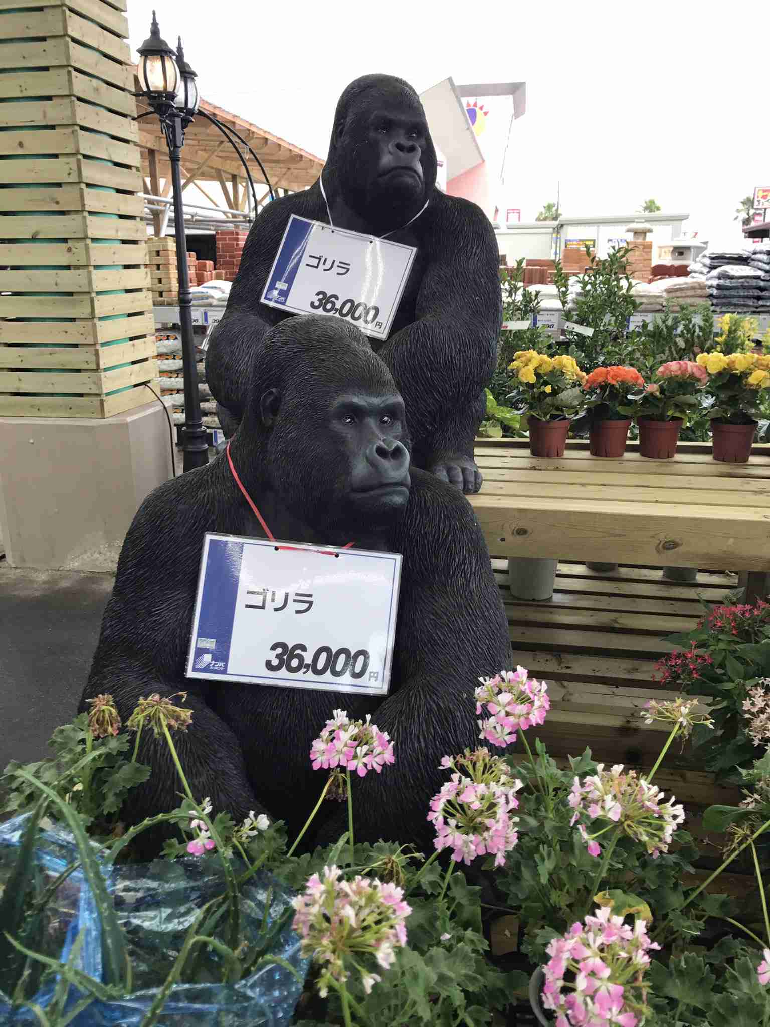 こんなの誰が買うねん!商品