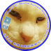 nyanko on Twitter: "水道橋博士さんと見城氏の対決にしても立ち合い人の顔ぶれが意味不明。殉愛のことにとことん触れたくないのか。
角岡さん西岡さんと宝島社、たかじんさんご遺族を呼ばれたらいい。フライデーの奥村氏もいっちょ噛みの同業者として呼んでほしいわ。… "