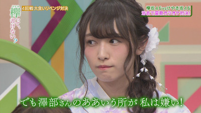 美しい鼻の形を貼るトピ【画像】【鼻フェチ】