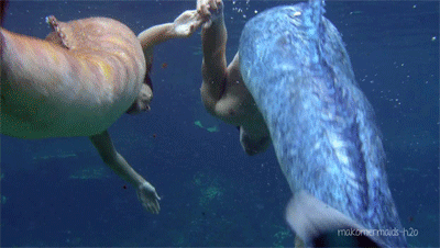 リトルマーメイドに憧れた美しき「人魚男」、1500ドル費やして手に入れた「尾」