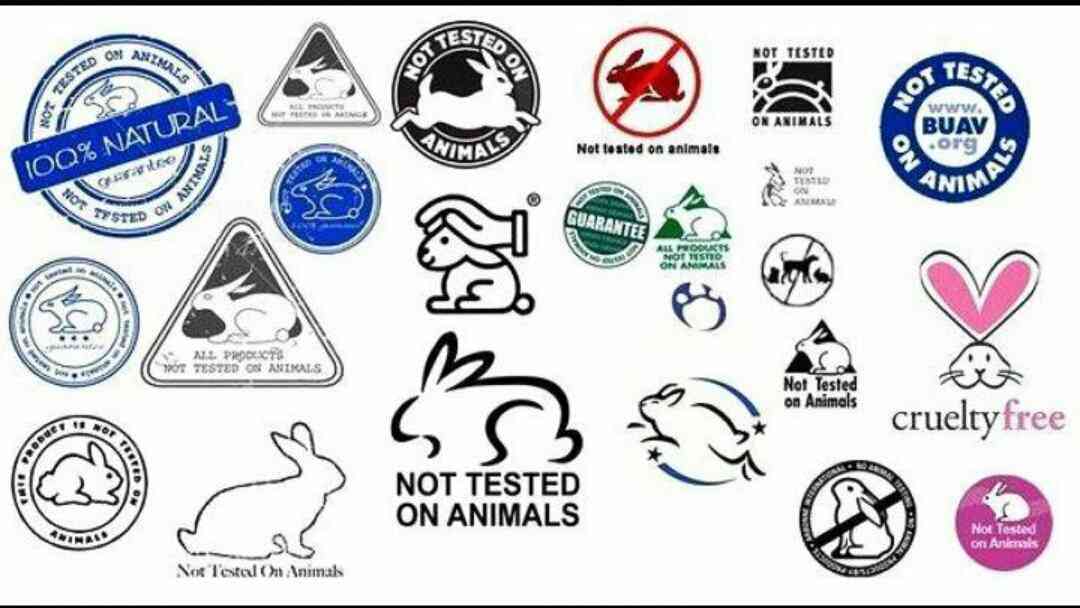 【化粧品】動物実験について