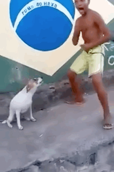 ダンスしている動画コレクション