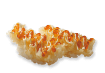 はま寿司のおすすめは？