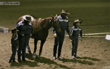 ダンスしている動画コレクション