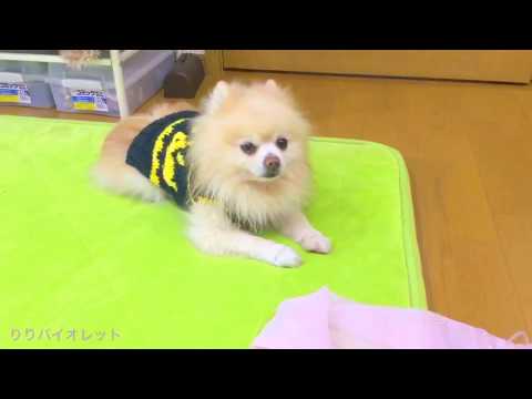 絶対あんたやね !! - YouTube