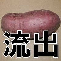 日本が開発したサツマイモの品種、韓国に流出！原因は公的機関の「怠慢」？