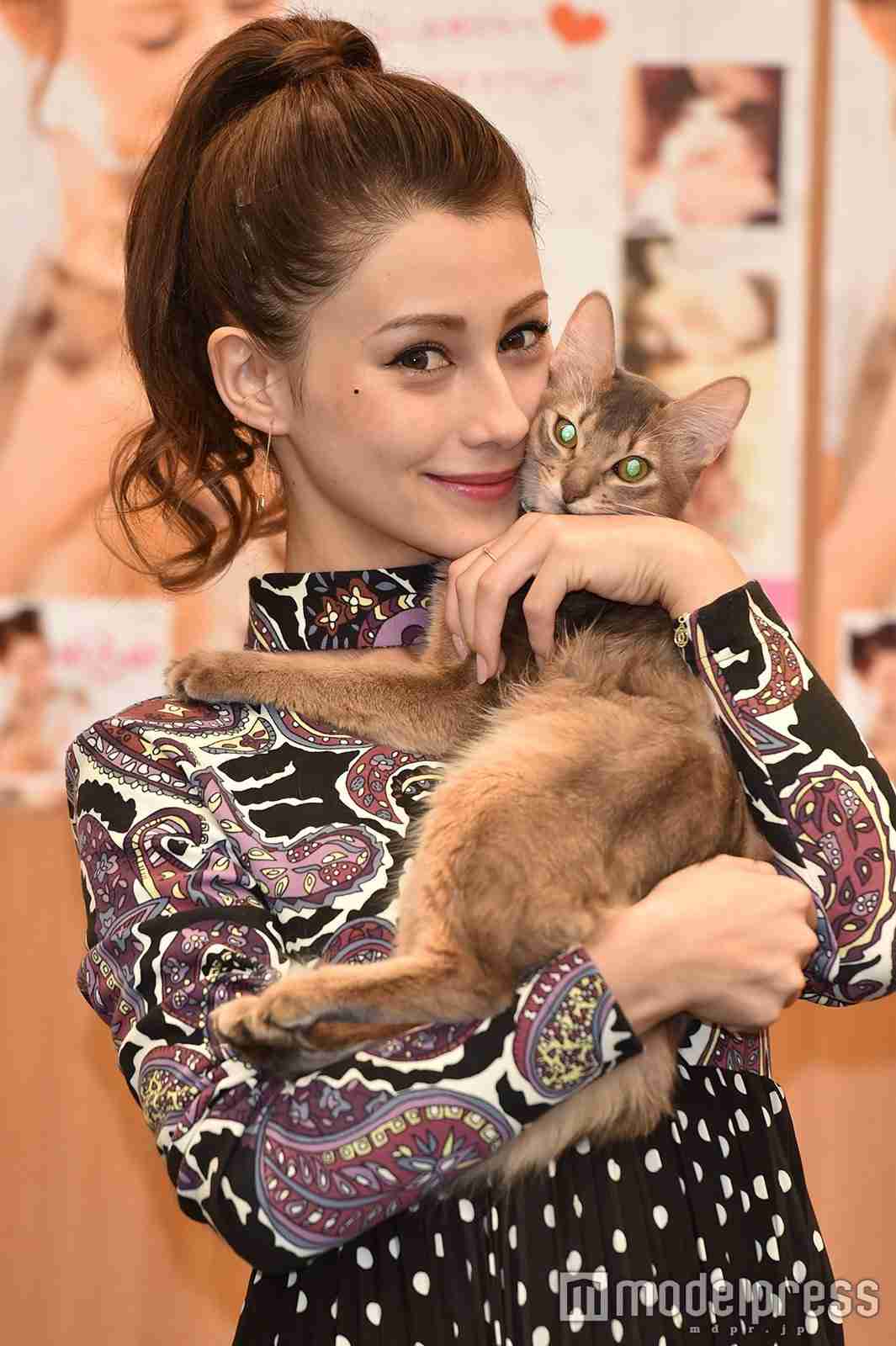 ダレノガレ明美 猫の里親探し支援アカウント開設へ 以前から愛護活動 ガールズちゃんねる Girls Channel