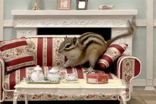 ミニチュアの家具を貼るトピ♪