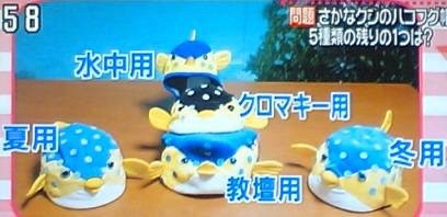 『さかなクン』を語ろう