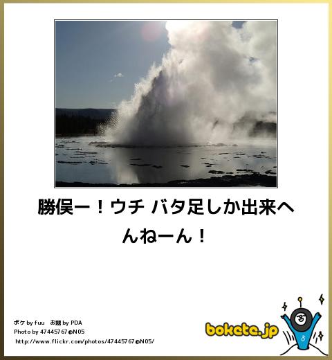 タイトルに「和田アキ子」をつけて画像を貼るトピ