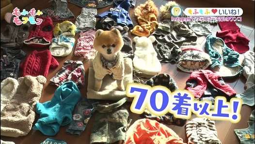 もふもふモフモフ 「＃8」 - 動画 Dailymotion