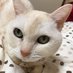Hiromi1961 on Twitter: "夫が帰ってきて、いきなり
目黒区？だっけ
五歳の女の子のこと、そんなに子がいらんのやったら、うちにくれたらよかったのに。
あの子が20歳になるまで、80歳前、まだ頑張れると思うで、と計算し始めた。
ほんまやなぁ、育てるのが嫌なら、育てられないなら、誰かに託せばよかった。
大事な命。"
