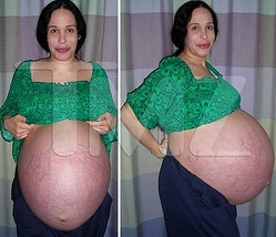 思わず目を見張った画像