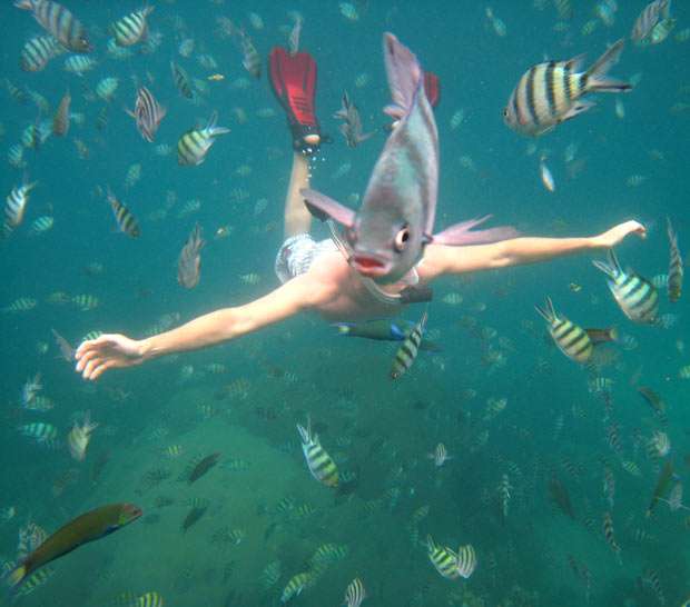 リトルマーメイドに憧れた美しき「人魚男」、1500ドル費やして手に入れた「尾」