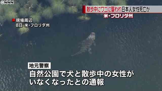ワニに襲われ邦人女性死亡か　米フロリダ州、散歩中