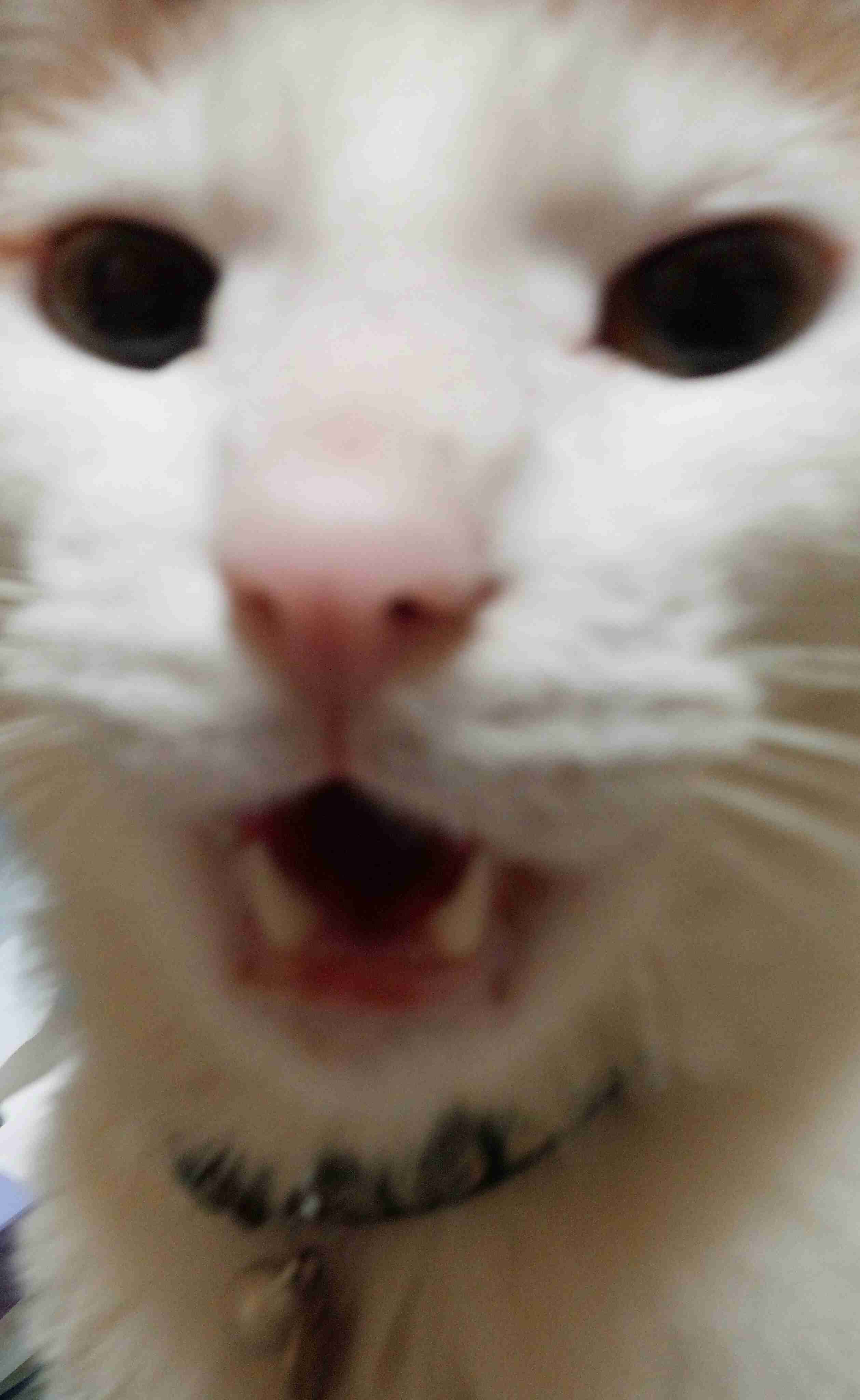 イケてない画像トピ