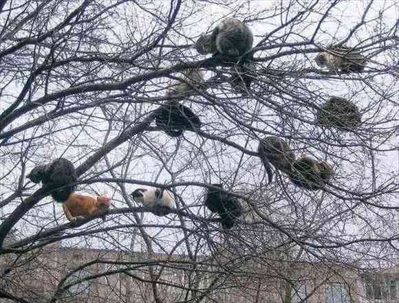 【画像】なぜそこに？