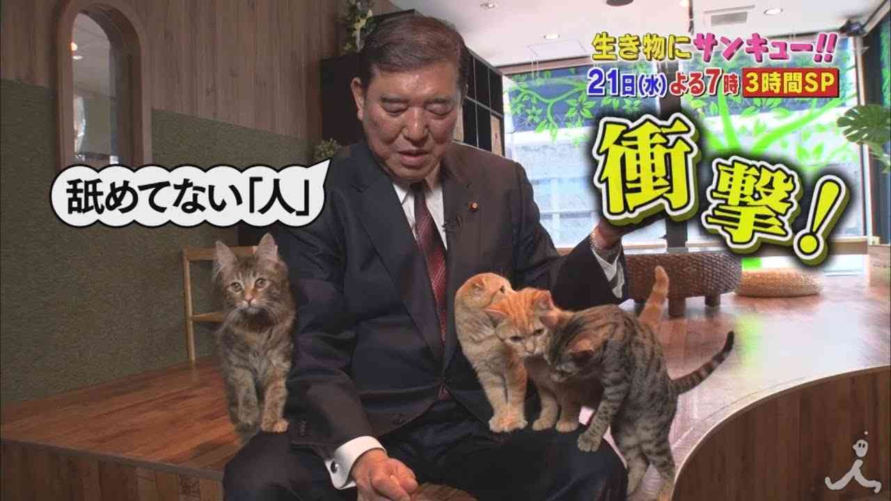 石破茂がネコを惹きつける!? 本人協力のもと大検証!! 2/21(水)『生き物にサンキュー!!』【TBS】 - YouTube