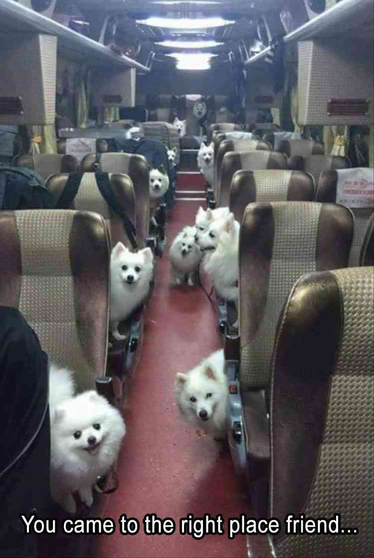 【画像】なぜそこに？