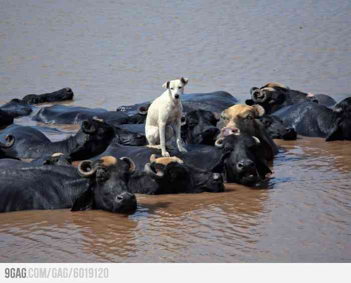 【画像】なぜそこに？