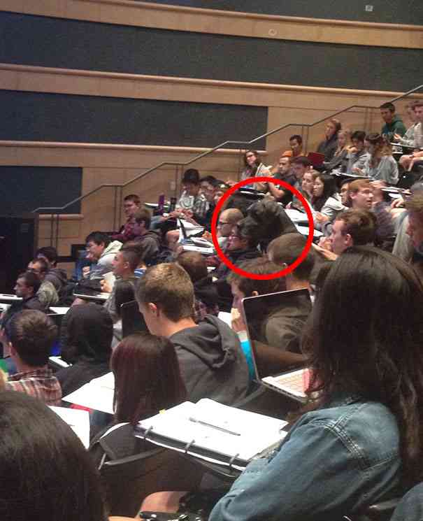 【画像】なぜそこに？