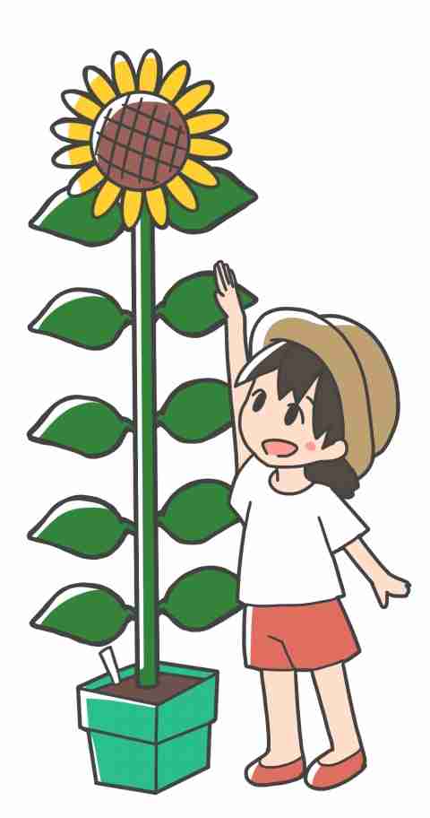 夏休みの自由研究何をしましたか？