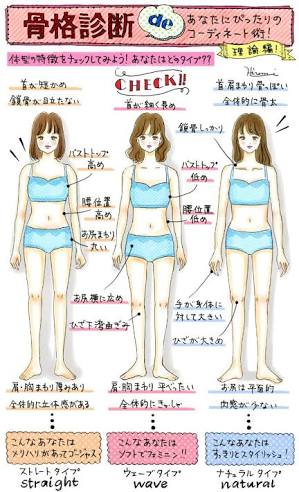 女性芸能人の骨格診断