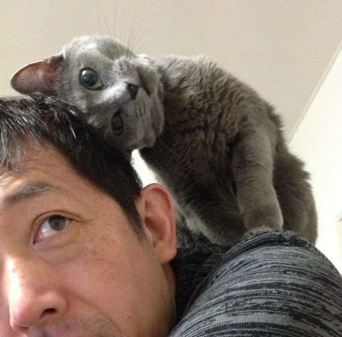 「半分、青い。」を好意的に観ている方、かたりませんか？