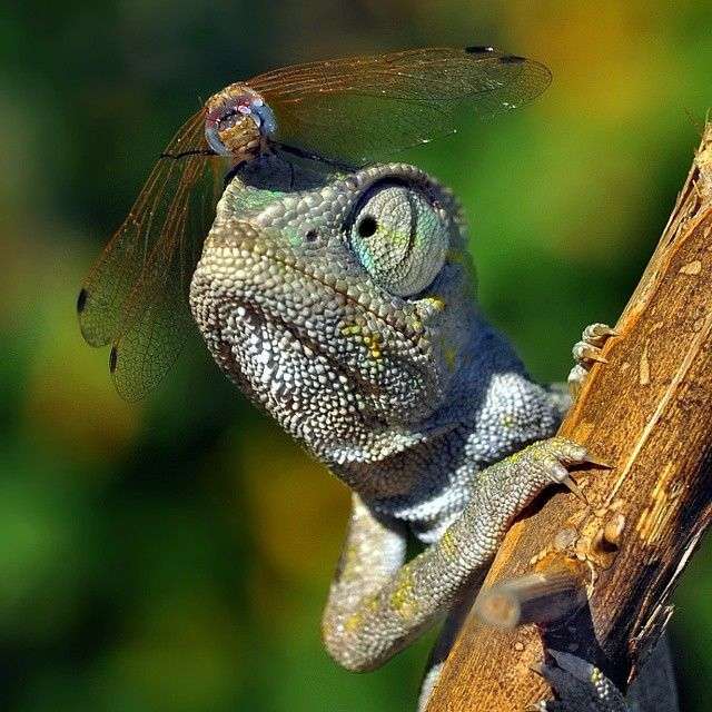 【画像】なぜそこに？