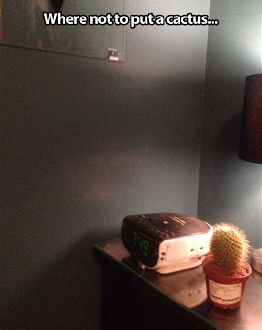 【画像】なぜそこに？