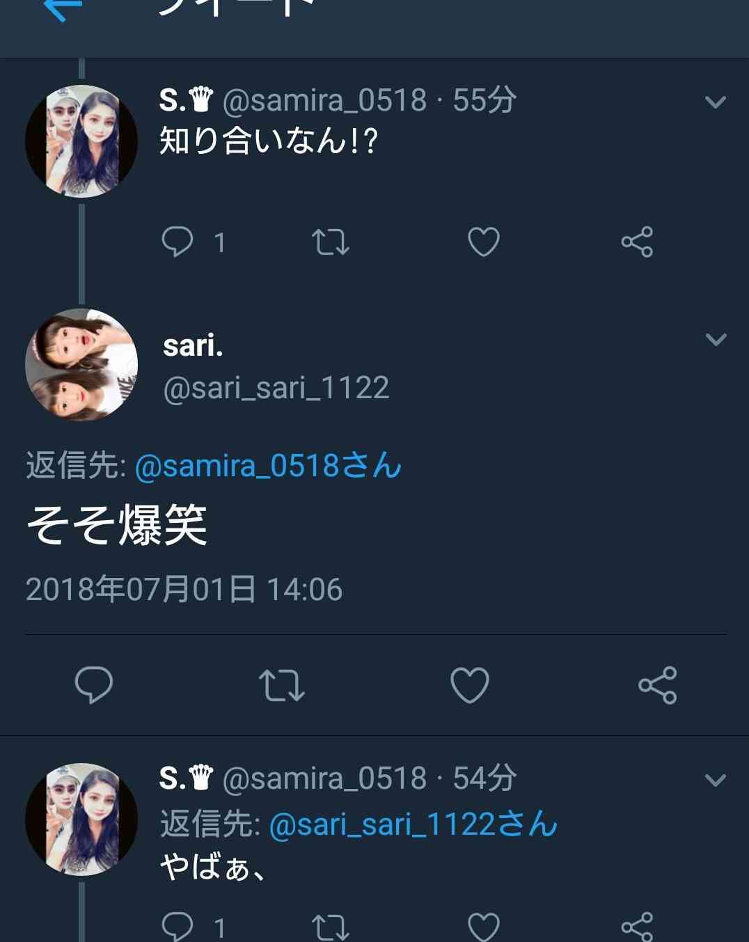 13歳少女が車運転 ポールに衝突・死亡、同乗の4人重傷