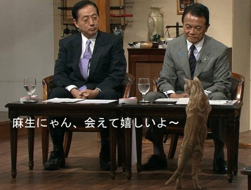石破茂氏がアップした「ネコ写真」の波紋 「ありえない抱き方だ」との指摘も