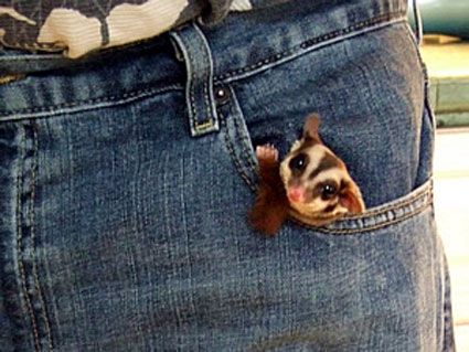 【画像】なぜそこに？