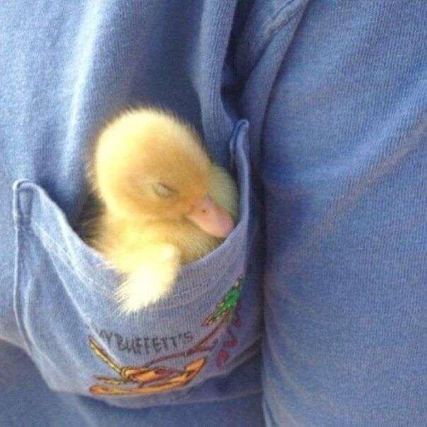 【画像】なぜそこに？