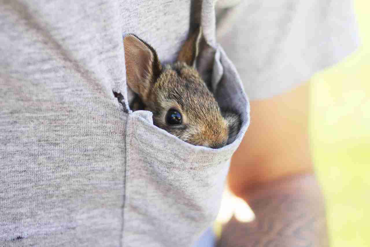 【画像】なぜそこに？