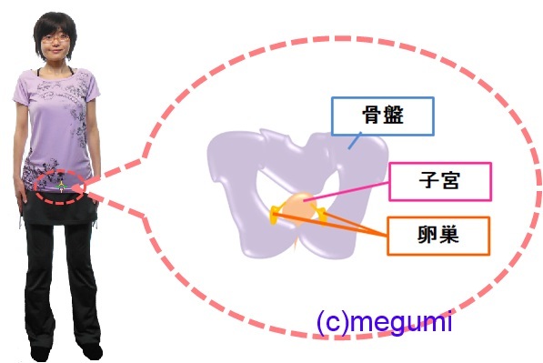 生理が来そうで来なくてモヤモヤする ガールズちゃんねる Girls Channel