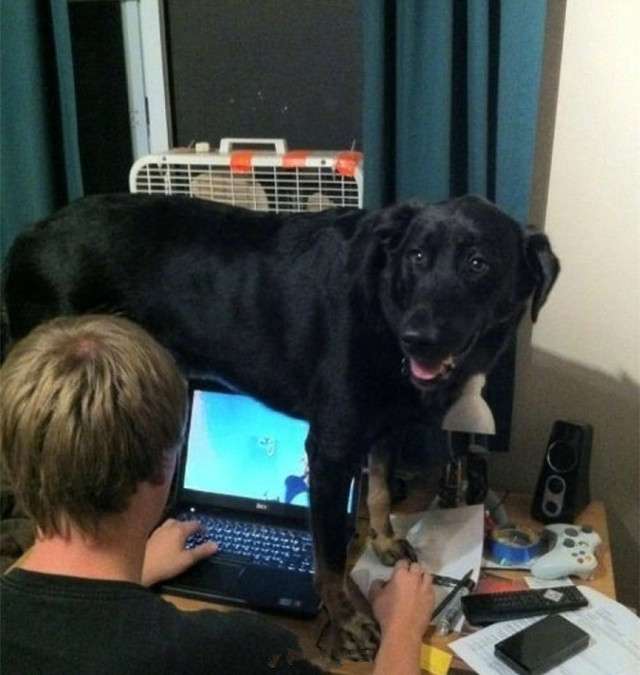 【画像】なぜそこに？