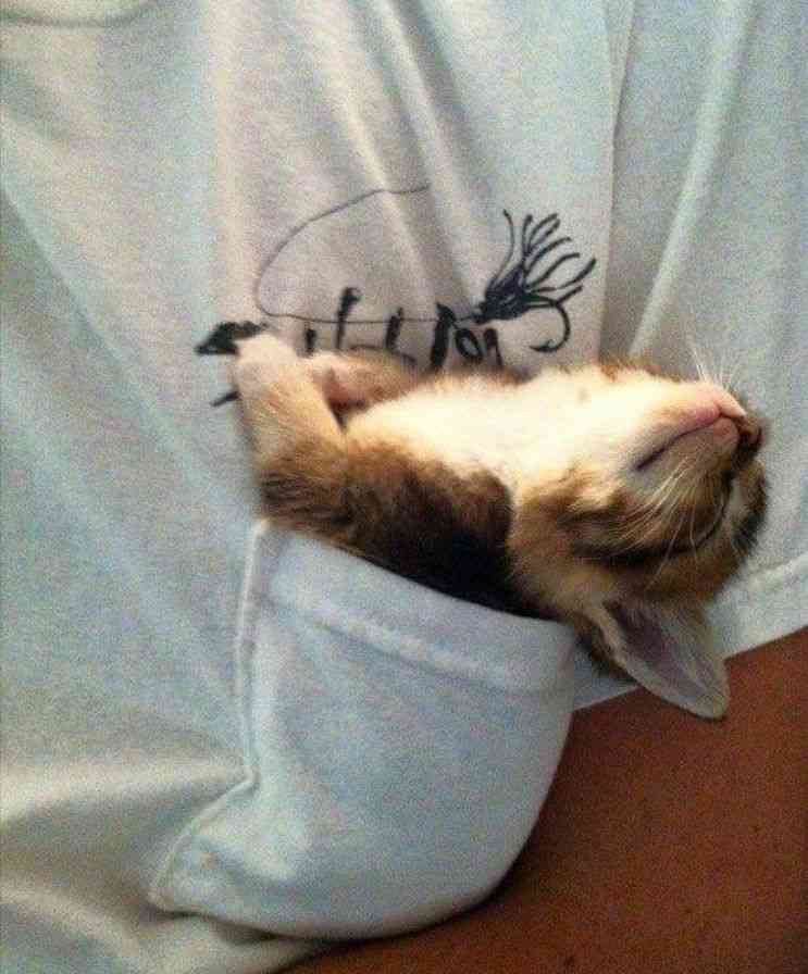 【画像】なぜそこに？