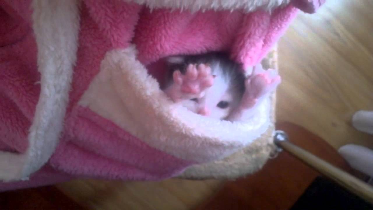 【画像】なぜそこに？