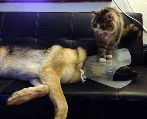 【画像】なぜそこに？