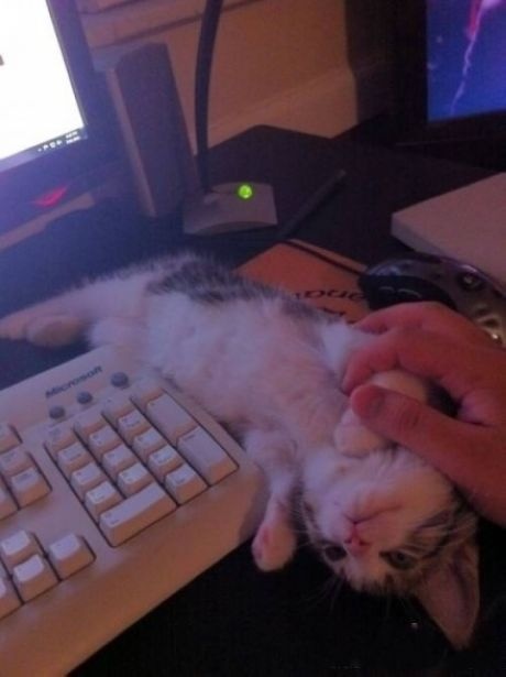 【画像】なぜそこに？