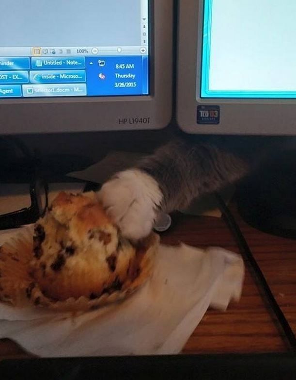 【画像】なぜそこに？