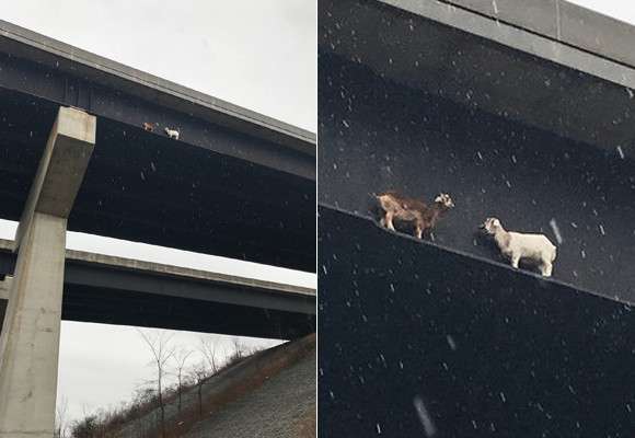 【画像】なぜそこに？