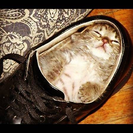 【画像】なぜそこに？