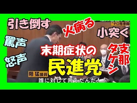 民進党の階猛(ｼﾅﾀｹｼ)がヤバイ！ ”共謀罪”と野次られ暴力行為　被災地の復興支援よりケンカを優先！ ～News365Japan - YouTube