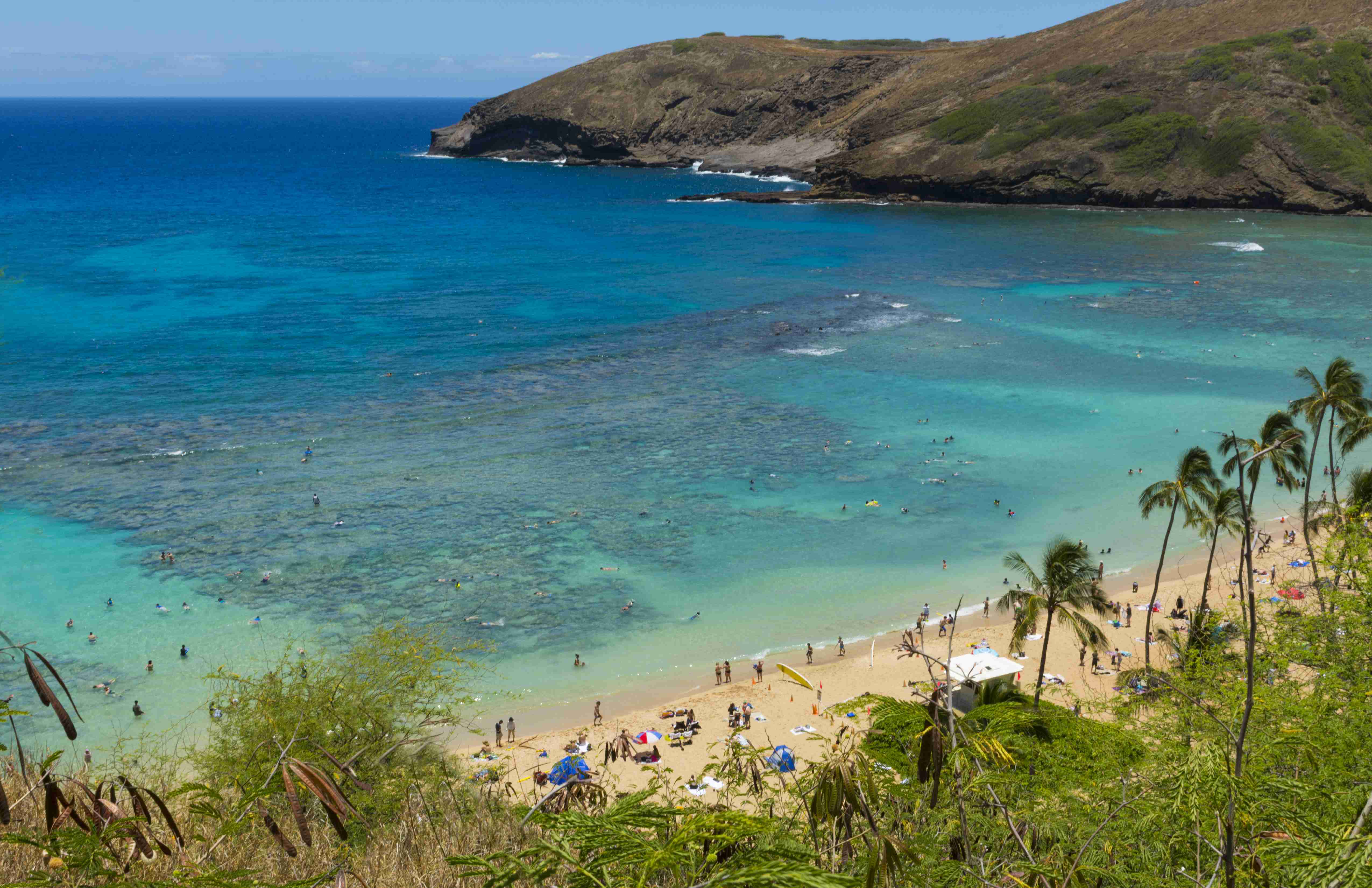 Hawaii Bans Sale of Sunscreens with Coral-Harming Chemicals | Time